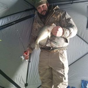 Meet your Posher, Austin